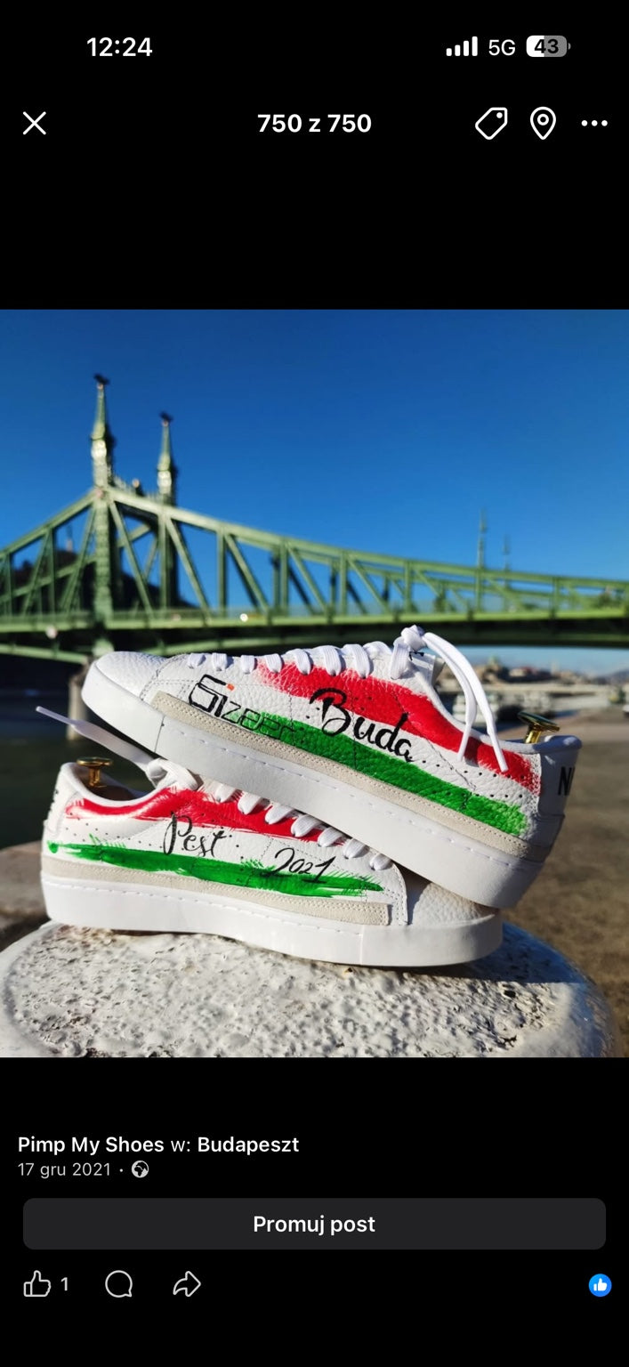 Pokazowy custom Pimp My Shoes na tle Mostu Wolności w Budapeszcie